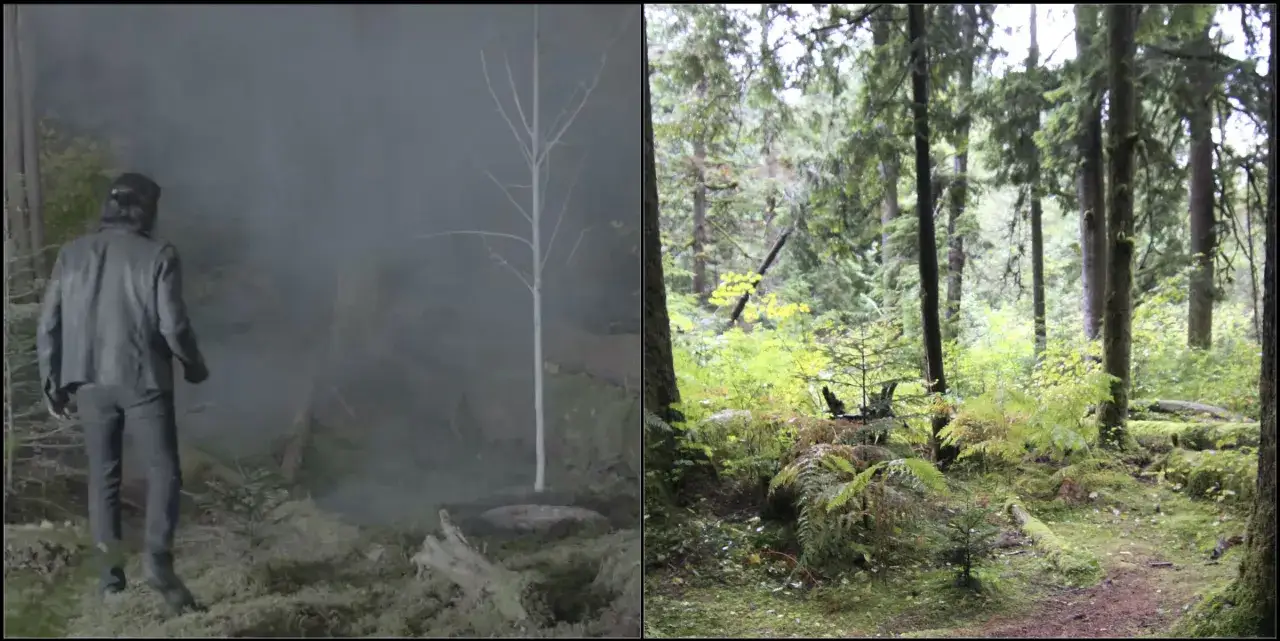 Mroczny las, jak z miasteczka Twin Peaks, z postacią w skórzanej kurtce i mgłą. Obok, zielony, wilgotny las z paprociami.